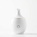 Nano Ionic Facial Steamer — 9-Minute Deep Pore Cleanse